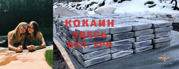 трава Киселёвск