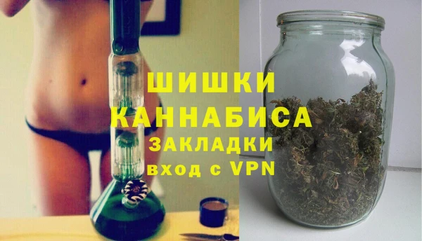 трава Киселёвск