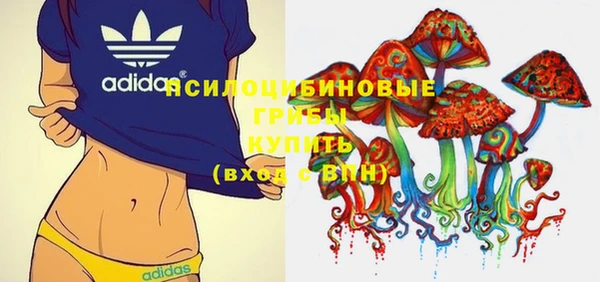 трава Киселёвск