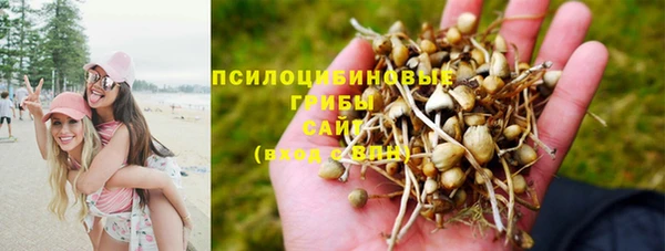 Альфа ПВП Кирс