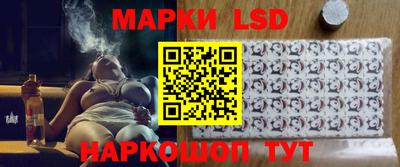 спиды Дубна