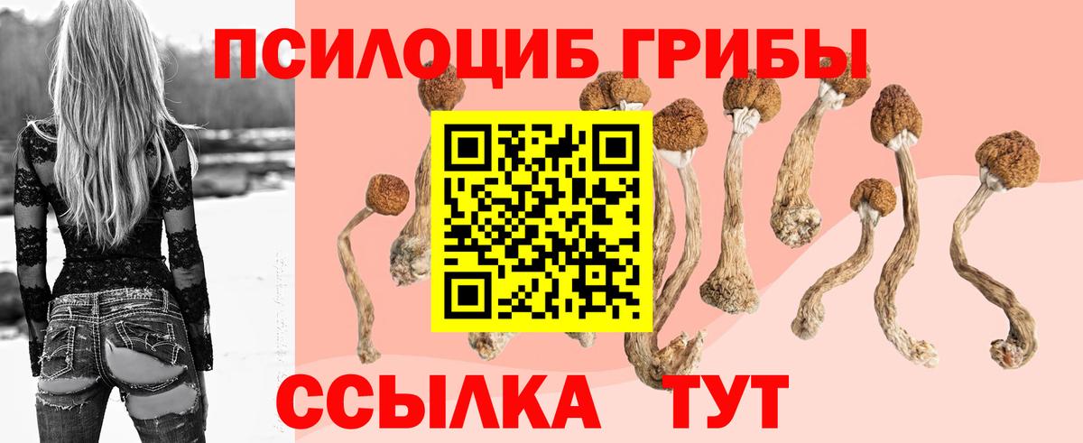 Псилоцибиновые грибы Psilocybe  Маркс  Псилоцибиновые грибы мухоморы 