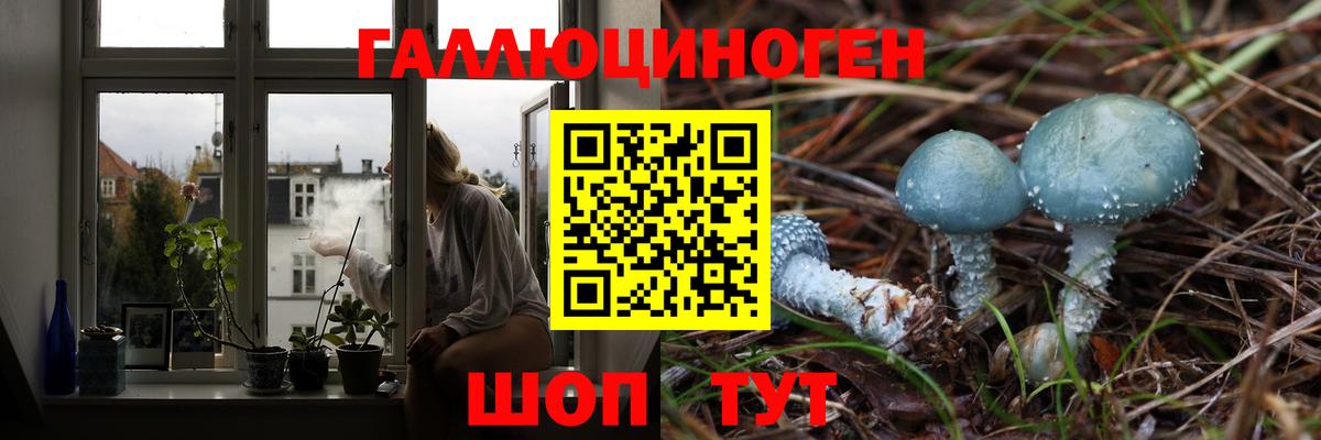 Псилоцибиновые грибы GOLDEN TEACHER Маркс